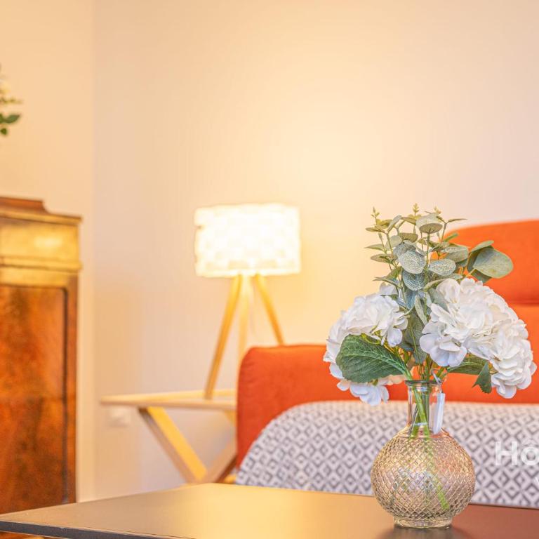 The Chinchauvaud Cosy - Oasis of Freshness in the Heart of the City - Appartamento - 16
