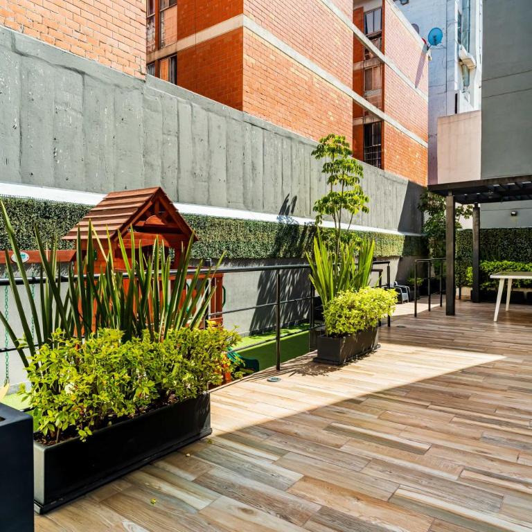 Casa Angel Dorado - Three-Bedroom Apartment - 25