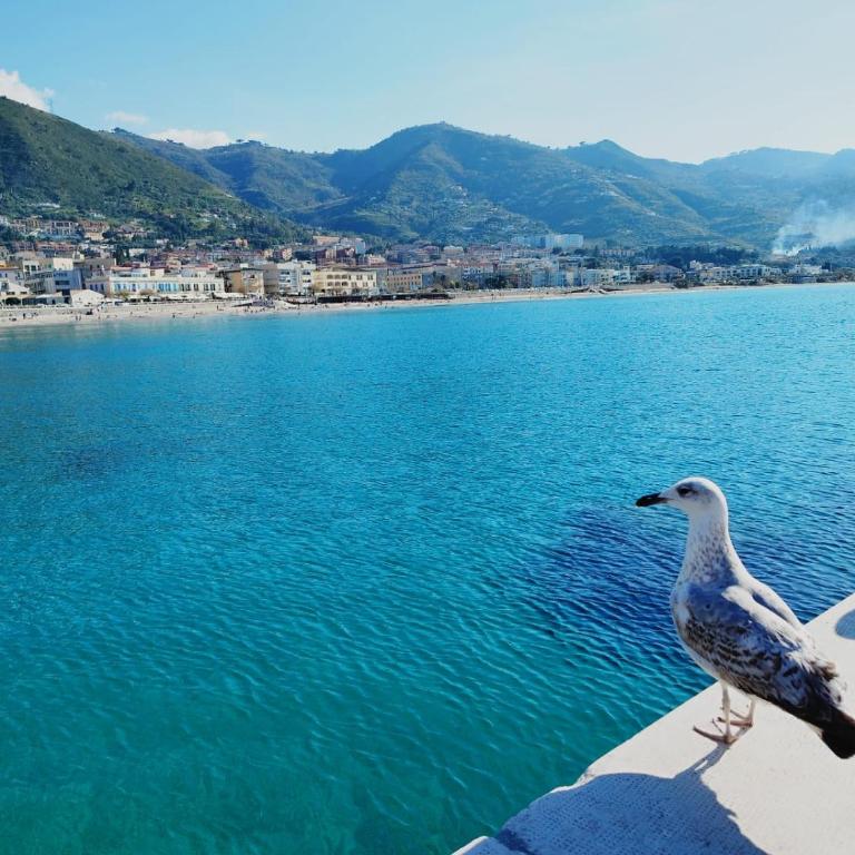 Casa Vacanze u curtigghiu - Appartamento con 1 Camera da Letto - 55
