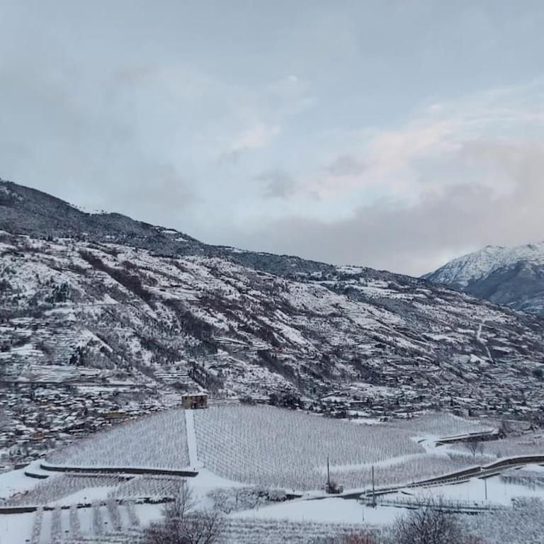 Valle D'Aosta a 360° - Ideal for smart working - Maison 1 Chambre - 16