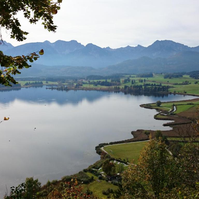 Ferienhaus Mayr - Ferienwohnung Bergblick - Apartment mit 1 Schlafzimmer - 20