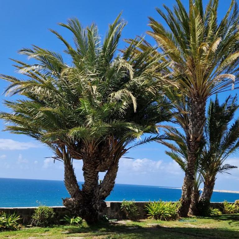 Monte del Moro Sea Front View - Suite Deluxe con vistas al mar - 4