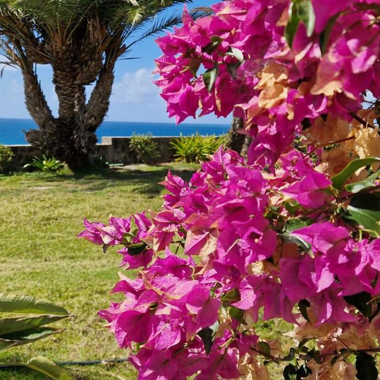 Monte del Moro Sea Front View - Suite Deluxe con vistas al mar - 2