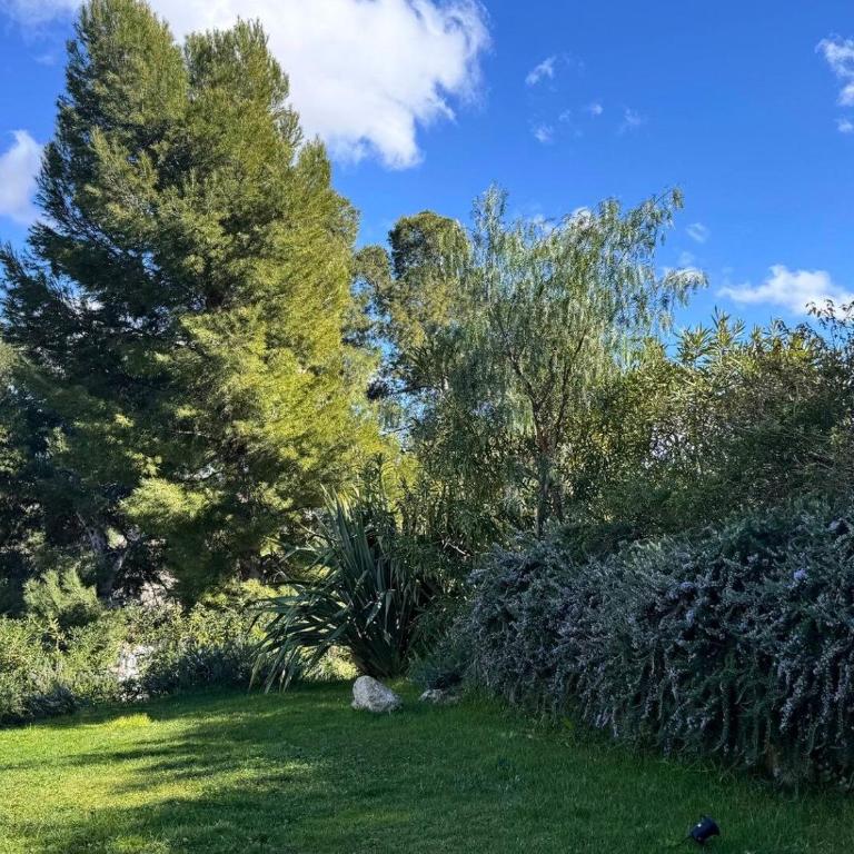 Magnifique Villa d’Architecte & Piscine à débordement - Villa avec Piscine Privée - 31