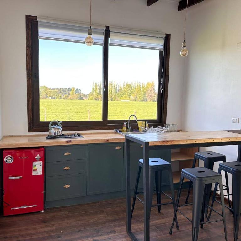 Cabañas Ruta Puerto Octay - Two-Bedroom House - 11