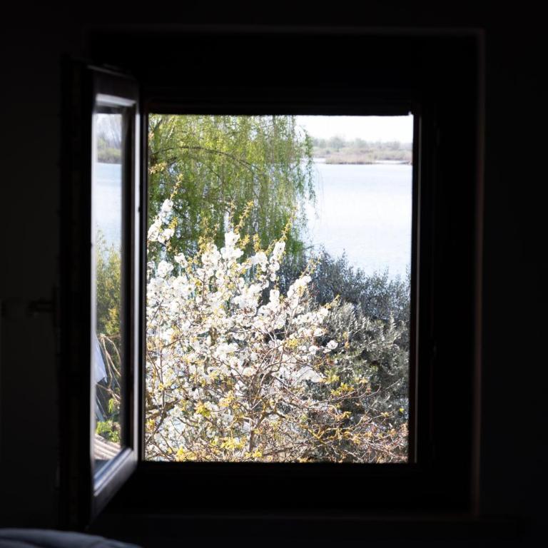 B&B Casanonni Borgo Angeli - Camera Quadrupla - 8