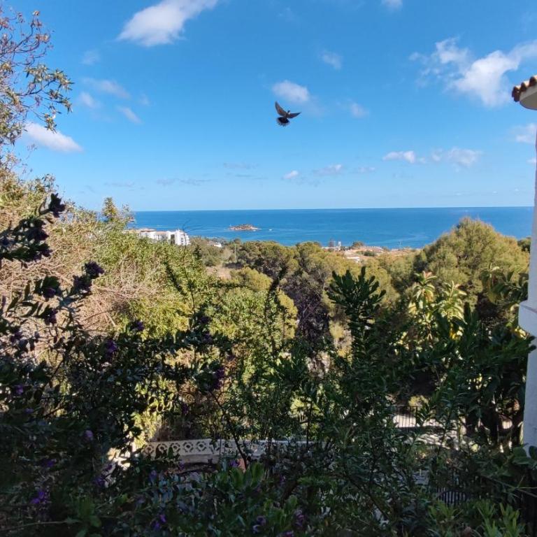 Casa Alberto - Altea - Villa - 39