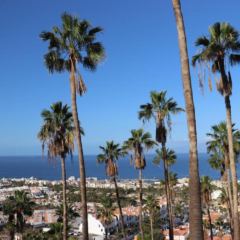 Azure Sky Villa - Panoramic ocean view, luxury, San Eugenio - Villa - 41