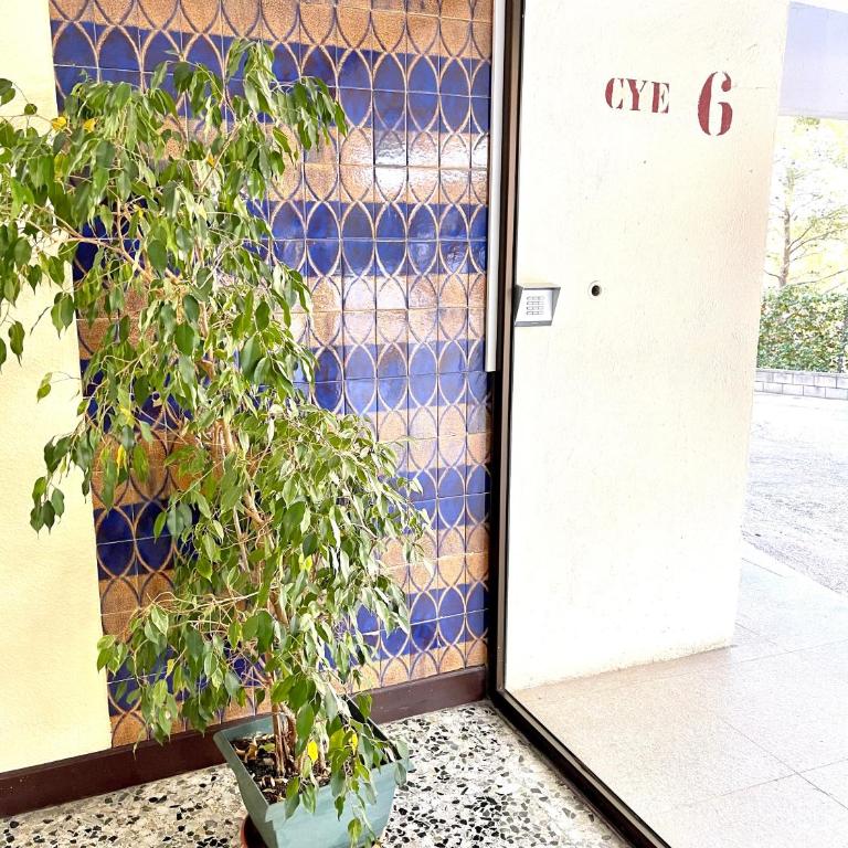 APARTBEACH CYE 6 II y BONITAS VISTAS MAR - Apartamento - 37