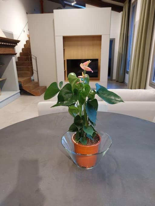 Ponte Vecchio - Luxury Appartment - Town Center - Appartamento con 3 Camere da Letto - 52