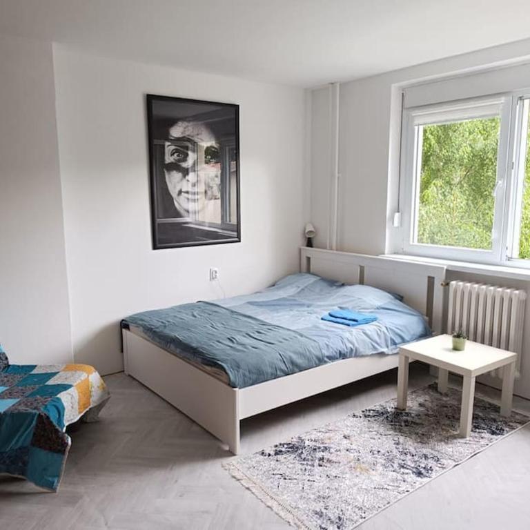 Cozy apartment in Vracar - Apartman sa 1 Spavaćom Sobom - 1