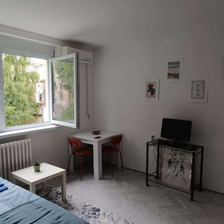 Cozy apartment in Vracar - Apartman sa 1 Spavaćom Sobom - 4