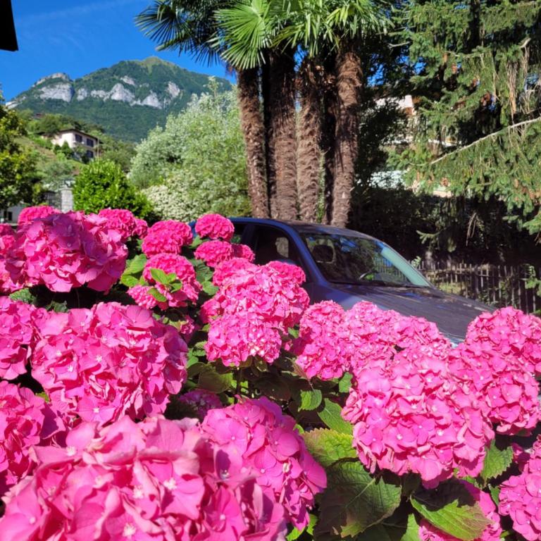 PARADISE VILLA VISTA LAGO DI COMO A MENAGGIO - Villa mit privatem Pool - 46