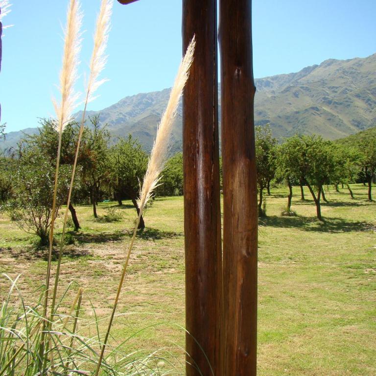 Cabañas Cerros del Sol - Bungalow con vistas a la colina - 3