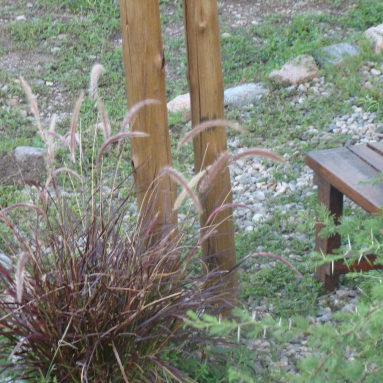 Cabañas Cerros del Sol - Bungalow con vistas a la colina - 11