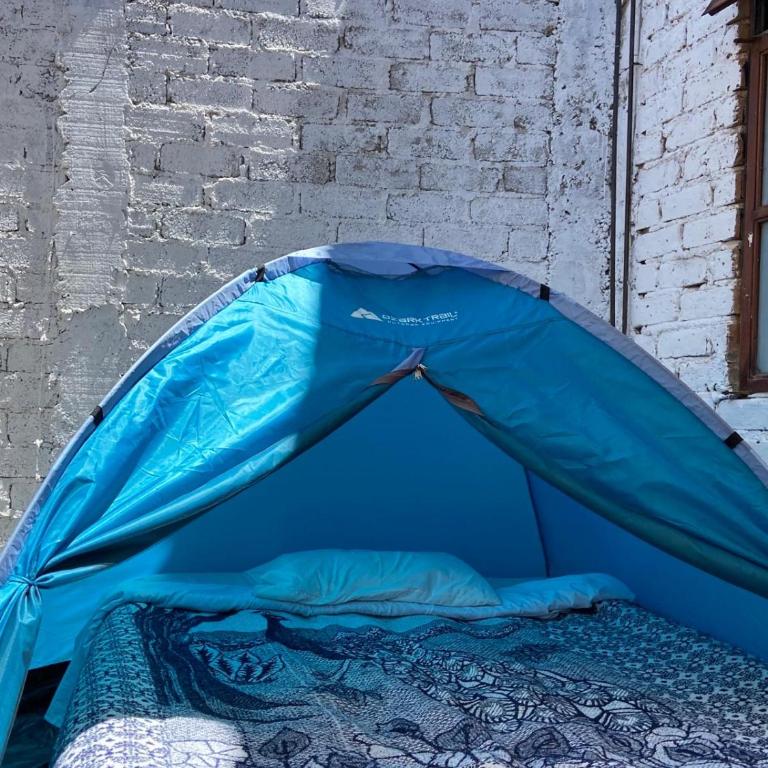 Home Sweet Home Guanajuato - Tent - 1