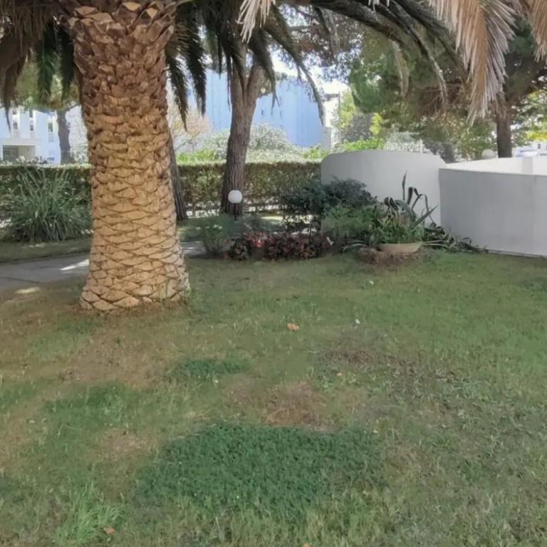 Studio a la mer piscine wifi parking clim - Estudio con balcón - 16