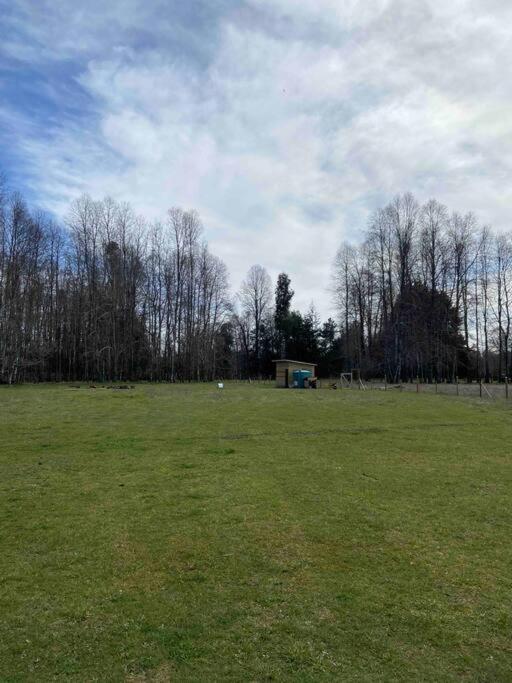 Cabaña Villarrica Pucon Sector Conquil - Casa de 2 dormitorios - 6