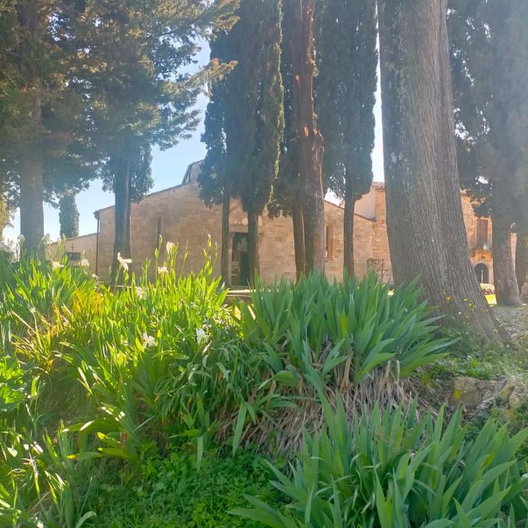 CIELO - Antica Casa sulla Via Francigena - Casa con 2 Camere da Letto - 30