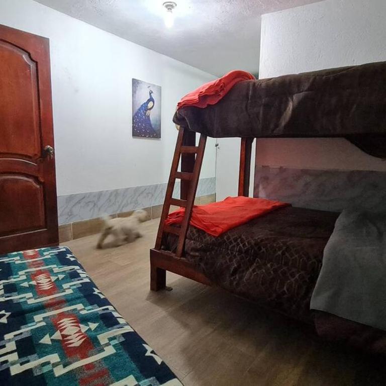 Habitación en Papallacta - Apartamento de 2 dormitorios - 2