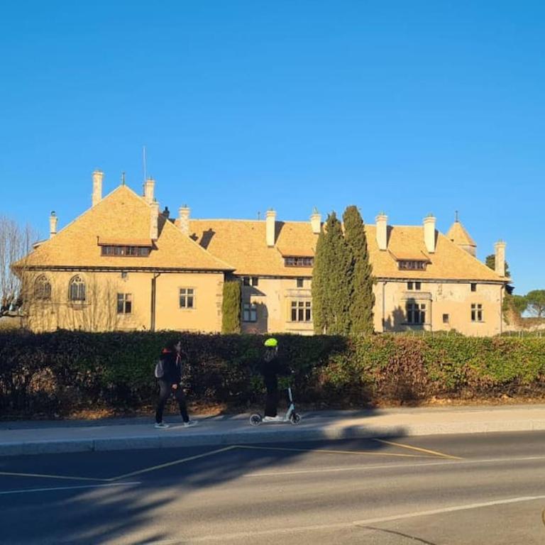 Villa Bacchus - Villa - 37