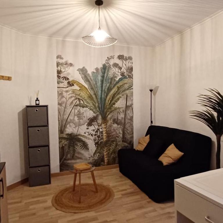 Studio hyper centre Les Sables - Apartamento de 1 dormitorio - 1