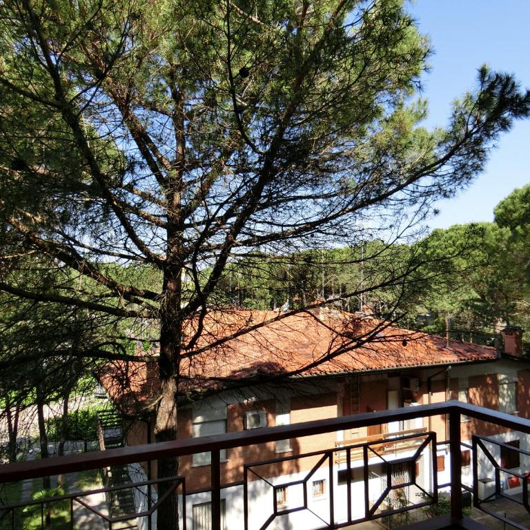 freepark relax and sea Pool & free wifi & AC - Appartamento con 2 Camere da Letto e Vista Giardino - 11