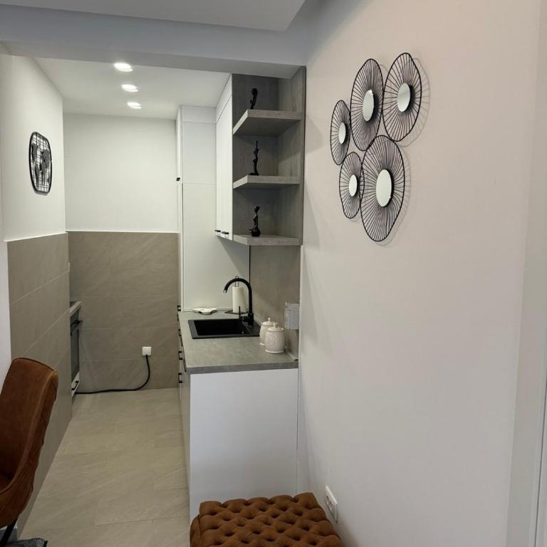 Apartman ANNA ATINA Budva - Apartman sa 1 Spavaćom Sobom - 10