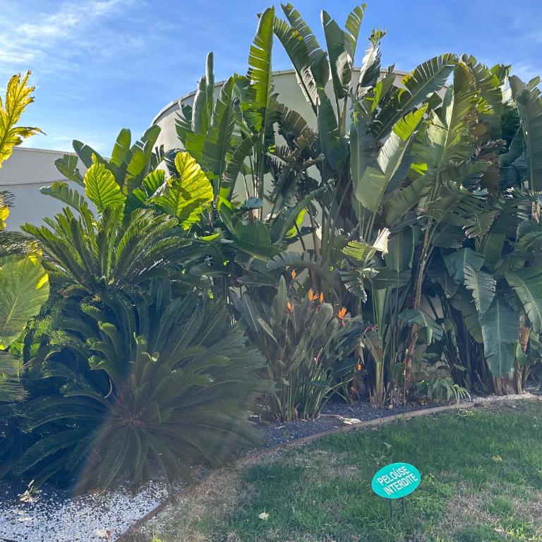 1 min to sea, Parking, AC, Terrace, 15 min Monaco - Appartement avec Terrasse - 29