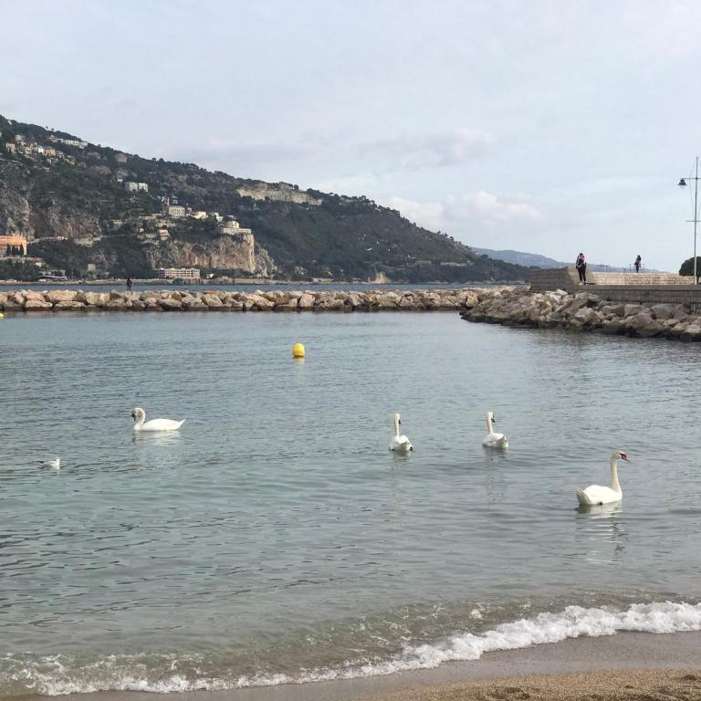 1 min to sea, Parking, AC, Terrace, 15 min Monaco - Appartement avec Terrasse - 36