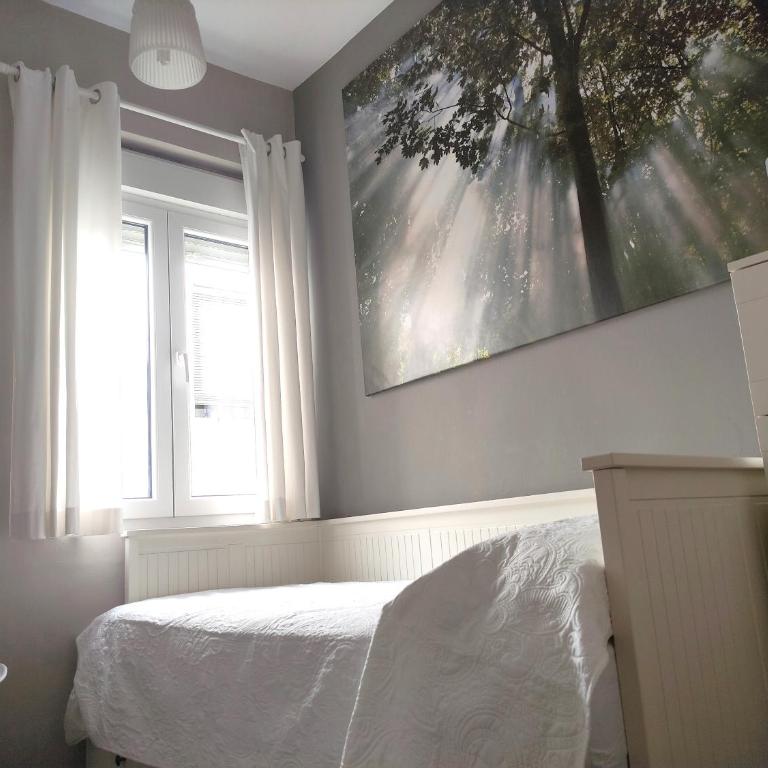 Vive Triana - Apartamento de 2 dormitorios - 19