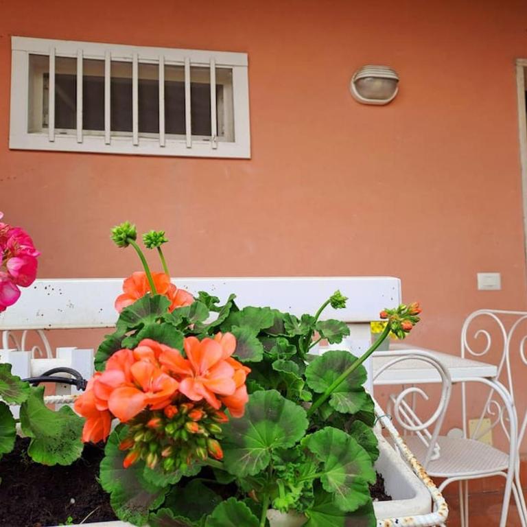 Acasuzzadiaci - Casa con 1 Camera da Letto - 29