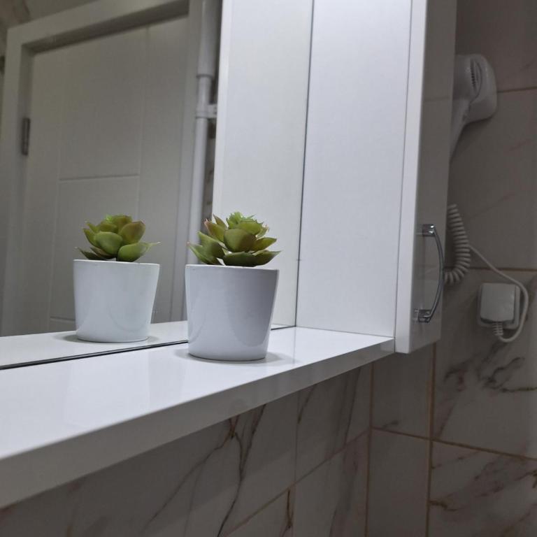 Relax Lux apartment Nis - Apartman sa 1 Spavaćom Sobom - 33