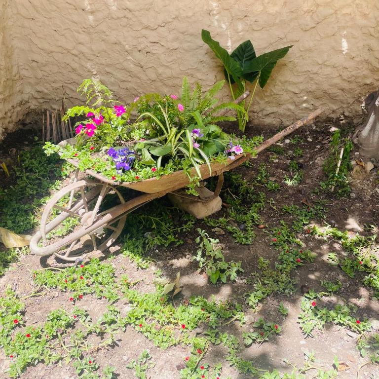 Casa céntrica Las Higueras - Casa con 1 dormitorio - 7