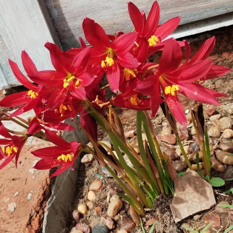 La cabaña - Apartamento de 1 dormitorio - 26