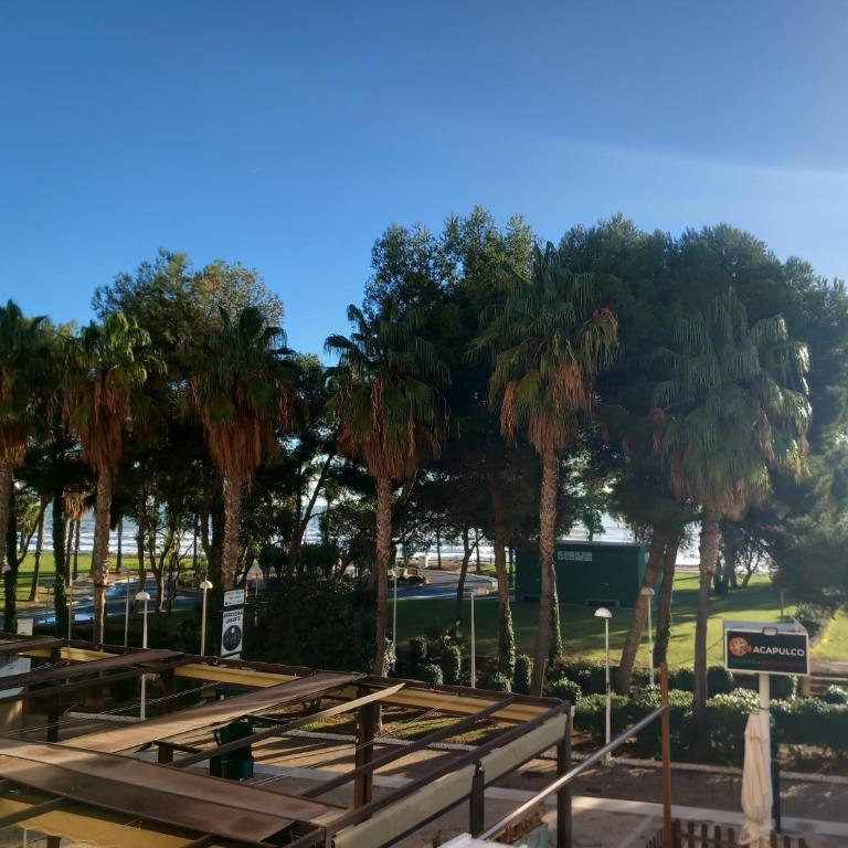 Acapulco IV - Apartamento de 1 dormitorio - 7