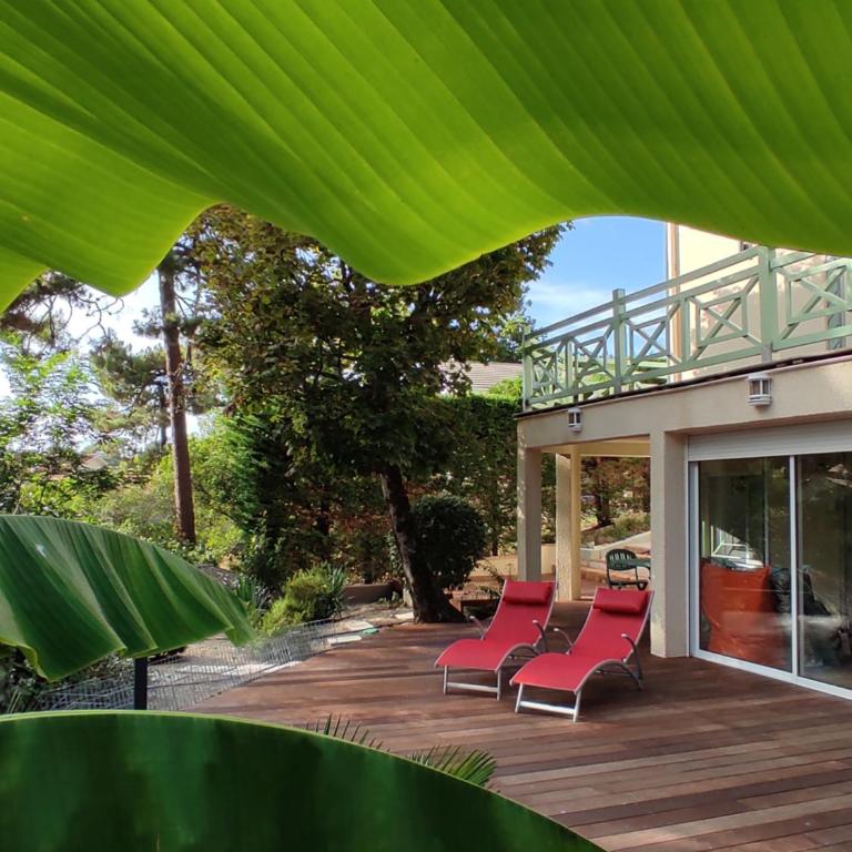 Suite et Spa Les Abatilles - Appartement 1 Chambre - 18