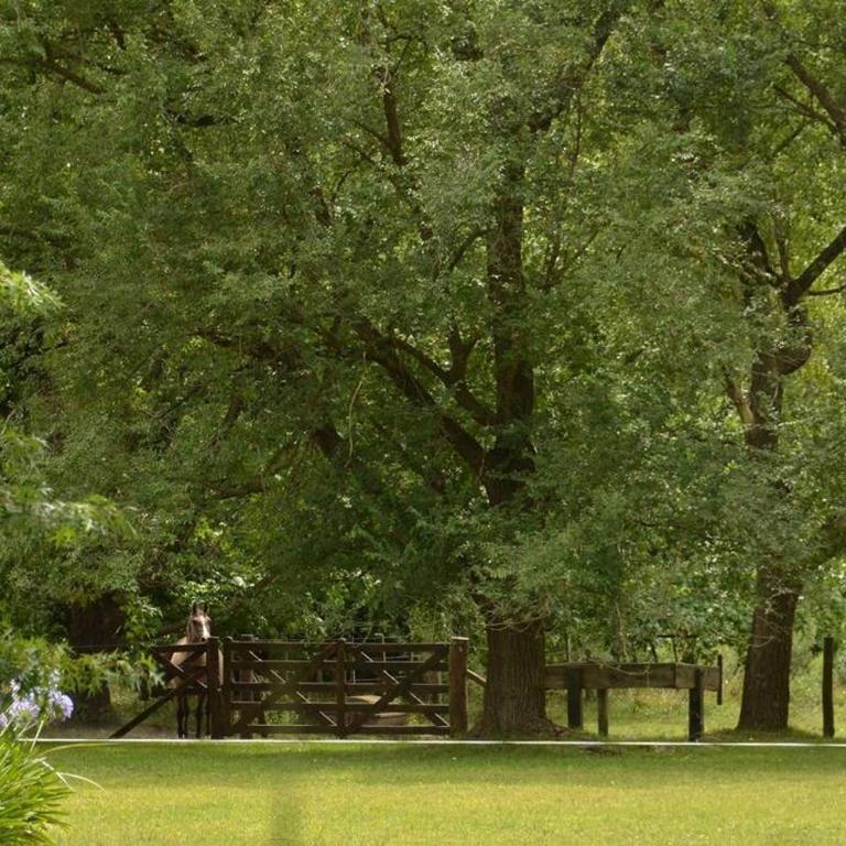 Casa de Campo El Ñandú con gran jardín y pileta - Casa de 3 dormitorios - 5