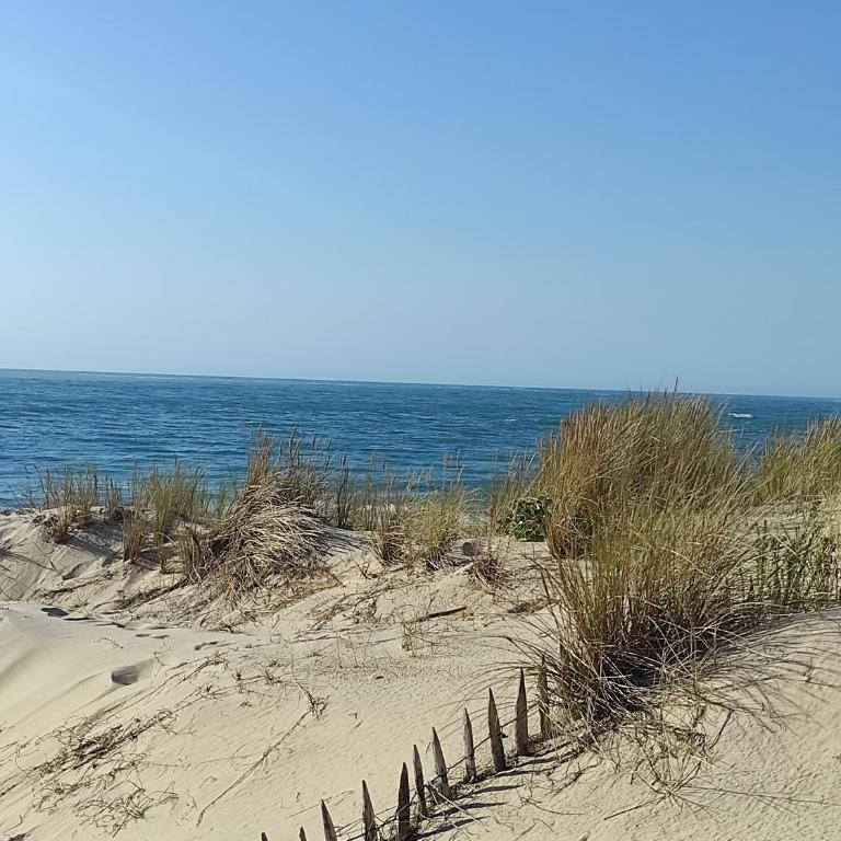 Suite et Spa Les Abatilles - Appartement 1 Chambre - 26