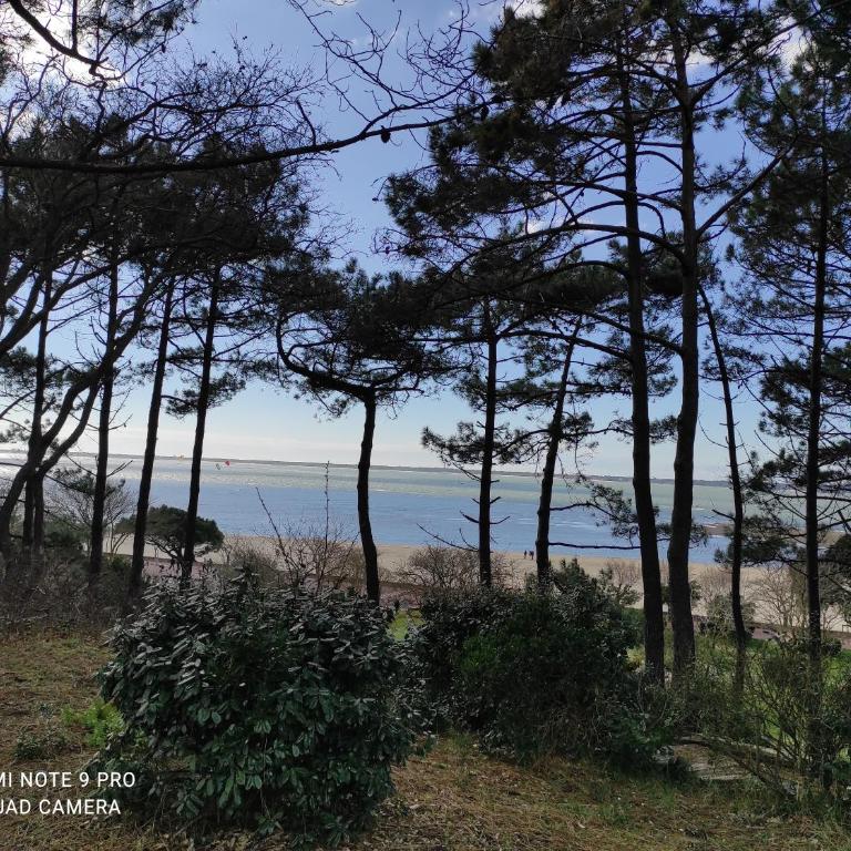 Suite et Spa Les Abatilles - Appartement 1 Chambre - 27