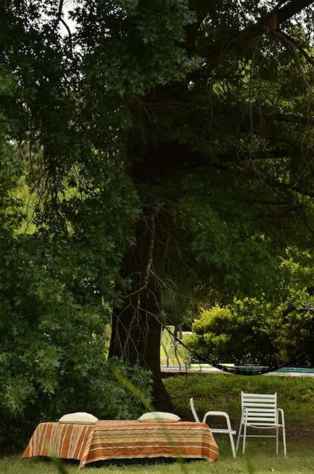 Casa de Campo El Ñandú con gran jardín y pileta - Casa de 3 dormitorios - 23