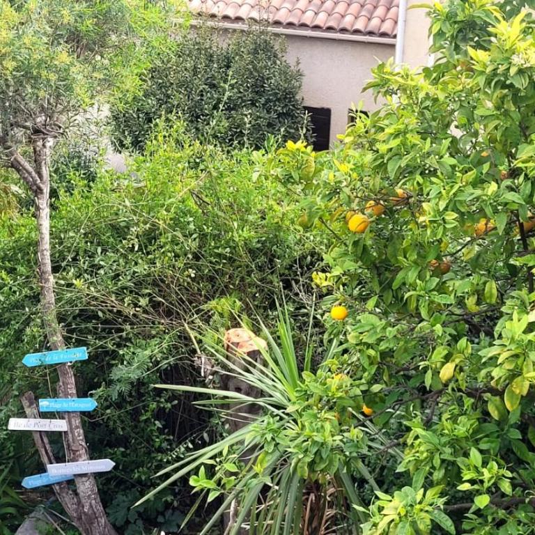 Villa 2 pièces Vue Mer Plage à pied - Appartamento con 1 Camera da Letto - 14