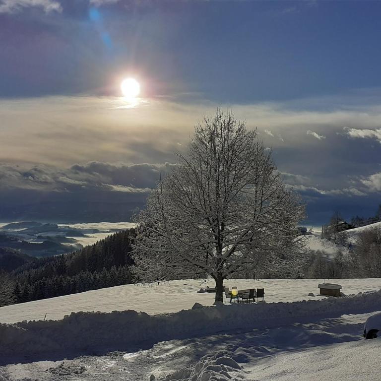 Urlaub im Blockhaus - Chalet mit 2 Schlafzimmern - 12