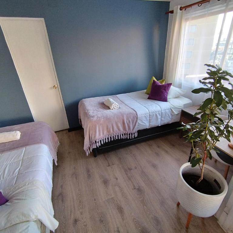 Hostal Casa Lhotse - Family Room with Private Bathroom - 4