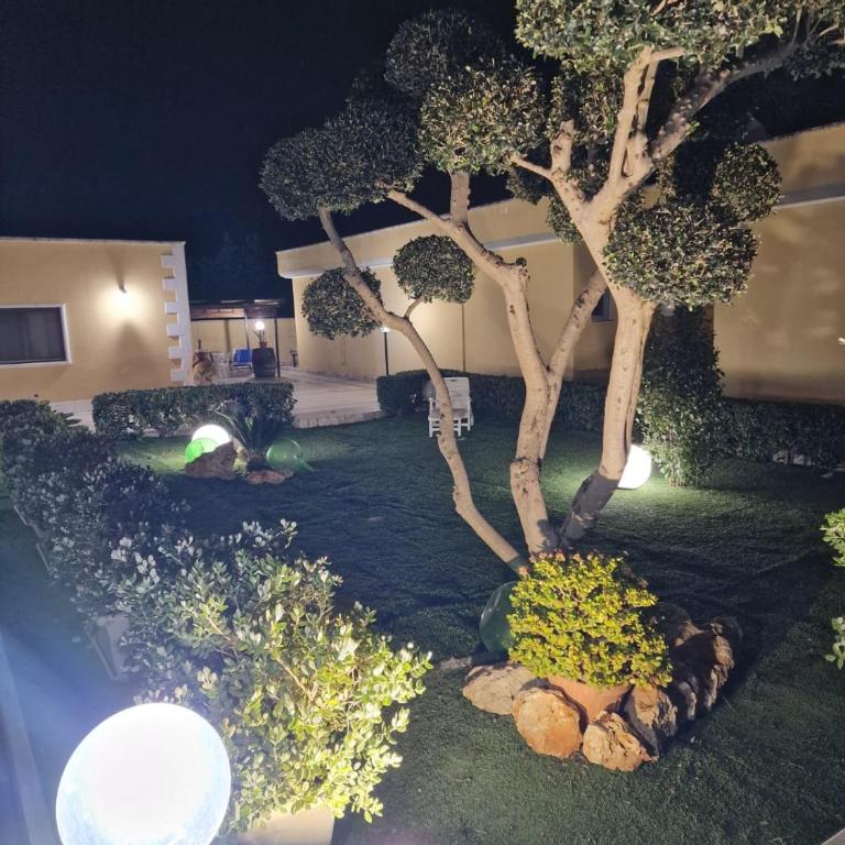 casale - One-Bedroom House - 3