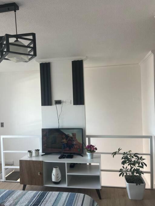 Duplex en estreno. - Apartamento de 1 dormitorio - 16