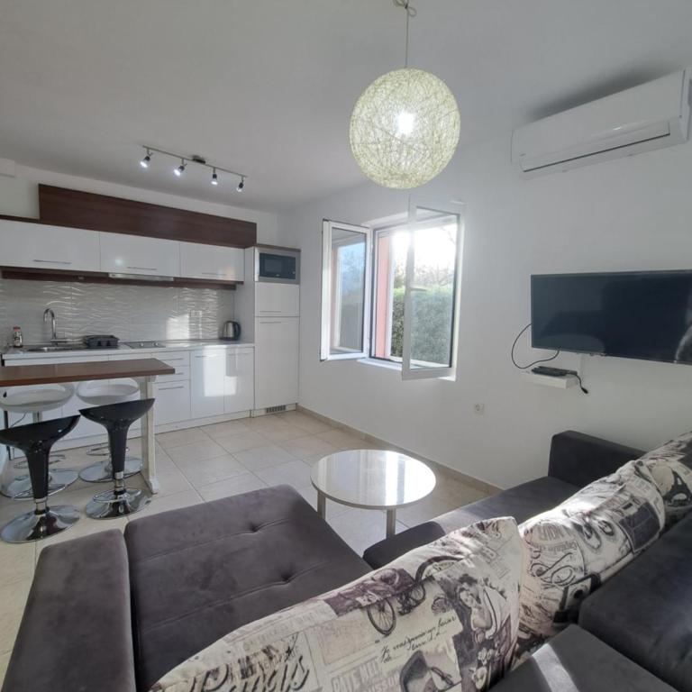 Paunovic Apartments - Apartman - 2