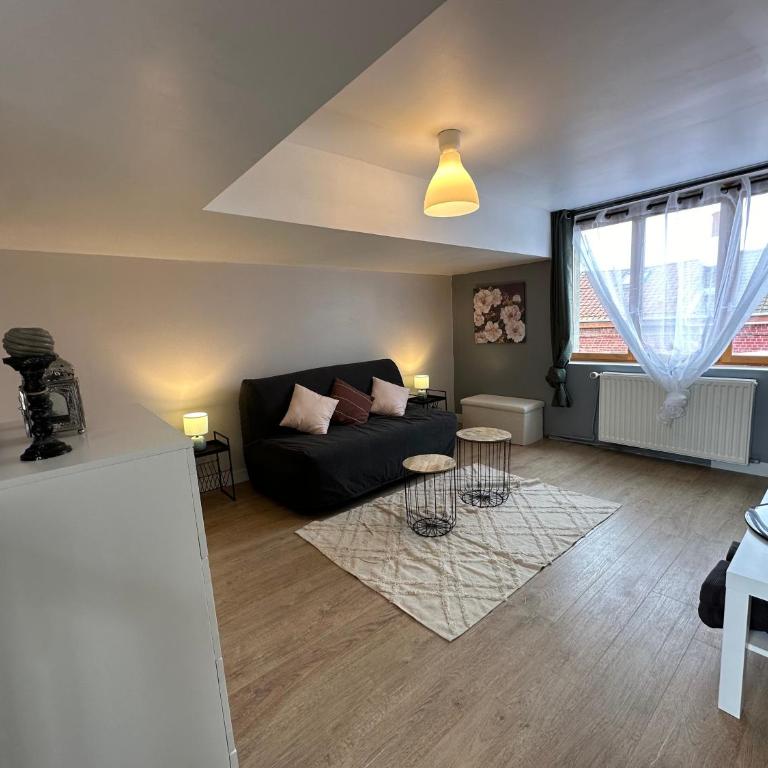 Maison Lilloise 3 chambres - Appartement 3 Chambres - 16