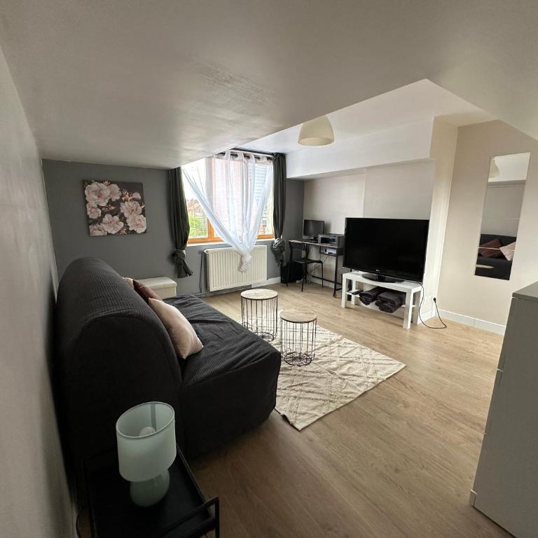 Maison Lilloise 3 chambres - Appartement 3 Chambres - 12