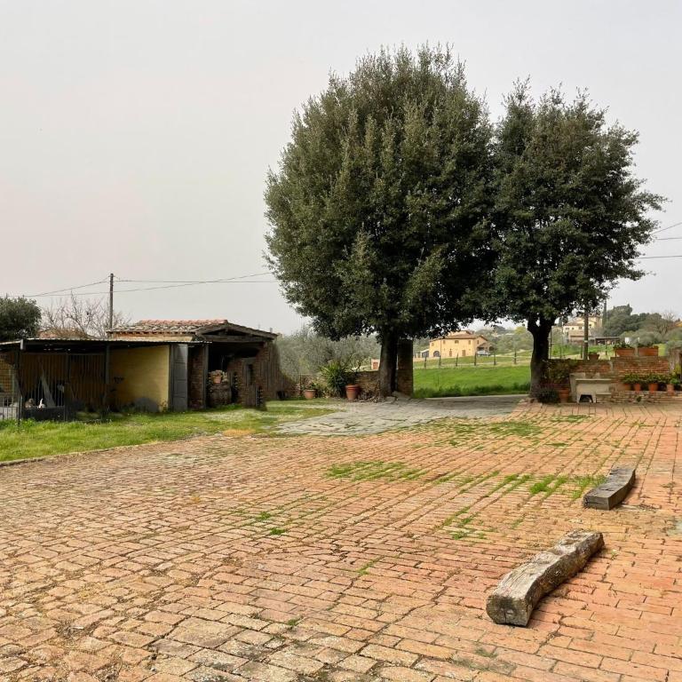 Podere Piazza Casa dell'Arcivescovo - Casa con 3 Camere da Letto - 32